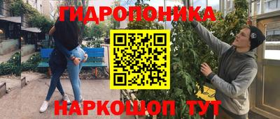дживик Будённовск