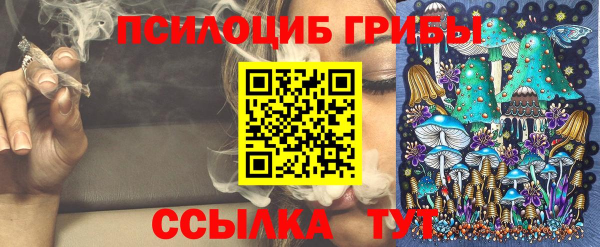 Галлюциногенные грибы мицелий Салехард