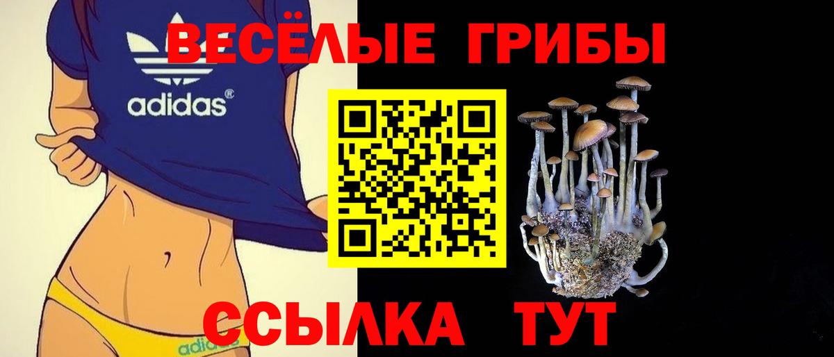 Салехард  где купить наркоту  Вход с VPN  Галлюциногенные грибы мицелий  Псилоцибиновые грибы прущие грибы 